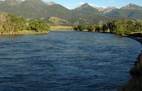 Yellowstone River at Mallard's Rest