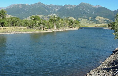 Yellowstone River at Mallard's Rest