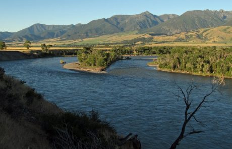 Yellowstone River at Mallard's Rest