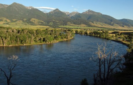 Yellowstone River at Mallard's Rest