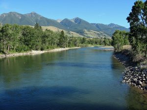 Yellowstone River at Mallard's Rest