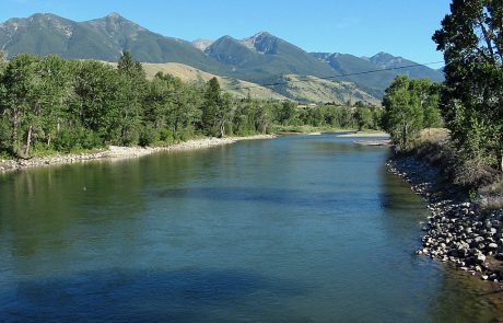 Yellowstone River at Mallard's Rest
