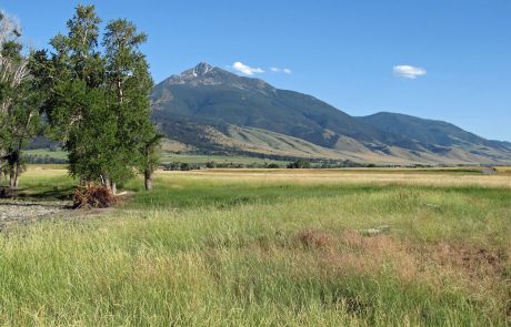 Scenic View from Mallard's Rest Fishing Access Site