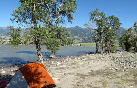 Camped at Mallard's Rest on the Yellowstone River