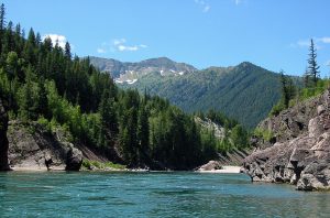 Middle Fork Flathead River