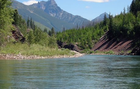 Middle Fork Flathead River