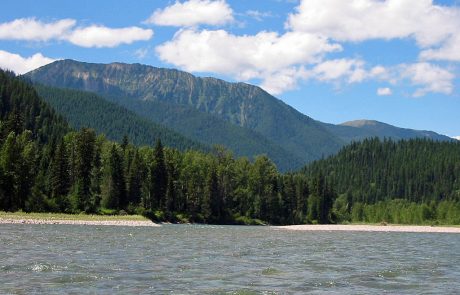 Middle Fork Flathead River