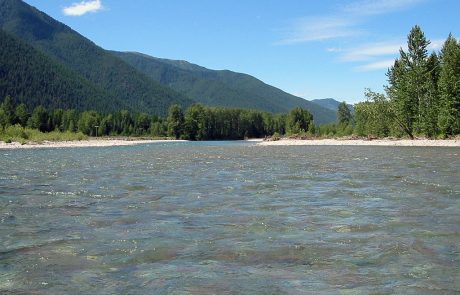 Middle Fork Flathead River