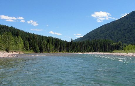 Middle Fork Flathead River