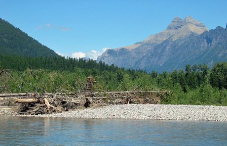 Middle Fork Flathead River