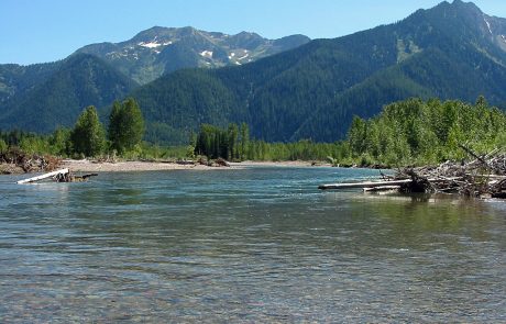 Middle Fork Flathead River