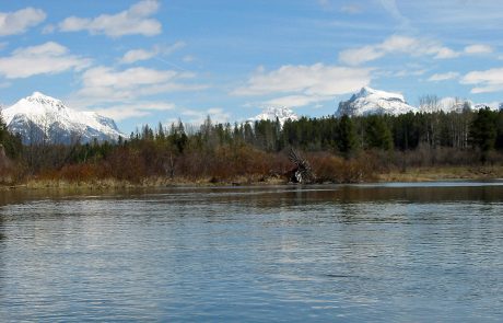 Middle Fork Flathead River