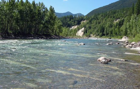 Middle Fork Flathead River