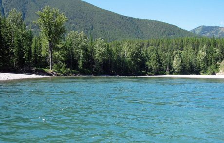 Middle Fork Flathead River