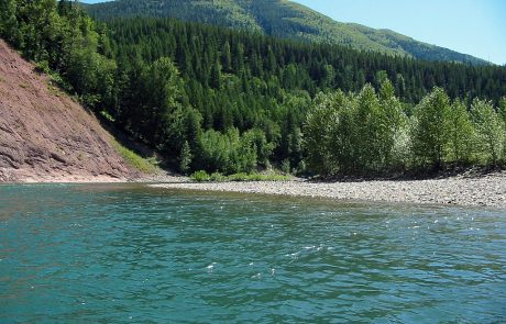 Middle Fork Flathead River