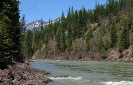 North Fork Flathead River in Northwest Montana