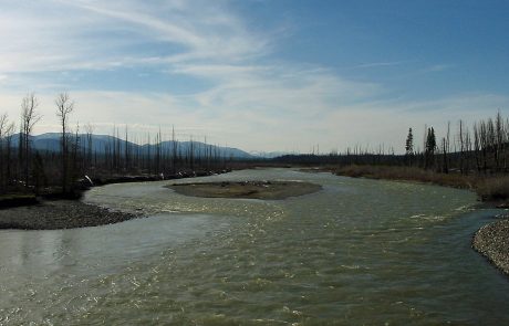 North Fork Flathead River near Polebridge, Montana