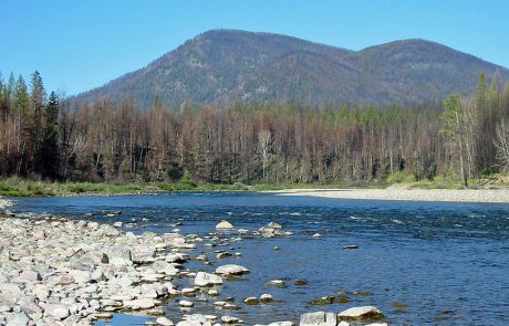 North Fork Flathead River in Montana