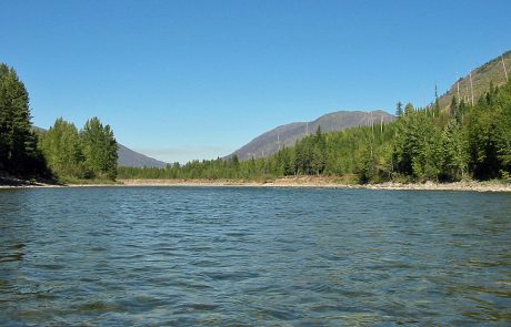 North Fork Flathead River in Montana