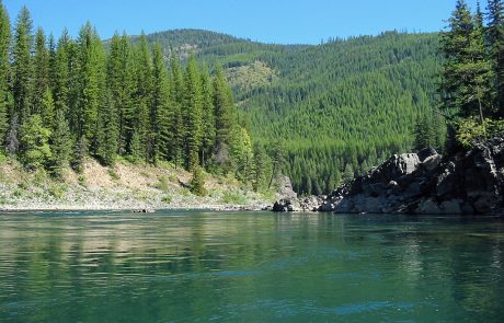 Deep Pools along the North Fork Flathead River in Montana