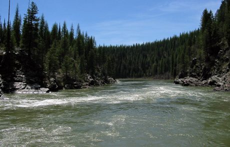 North Fork Flathead River in Northwest Montana