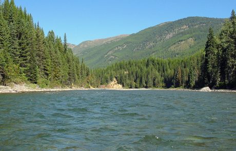 North Fork Flathead River in Northwest Montana