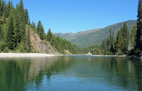 North Fork Flathead River in Northwest Montana