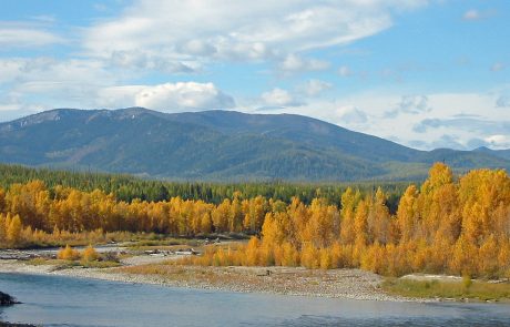 North Fork Flathead River in Montana