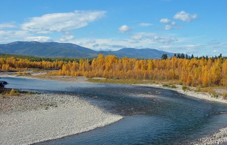 North Fork Flathead River during Autumn colors