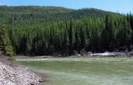 North Fork Flathead River in Northwest Montana