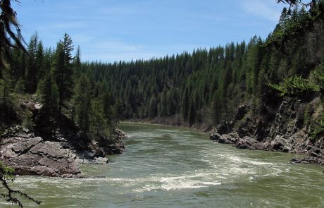 North Fork Flathead River in Northwest Montana