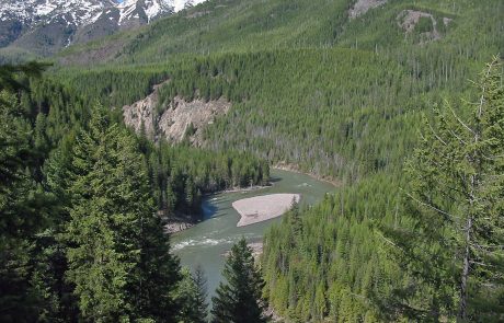 North Fork Flathead River in Northwest Montana