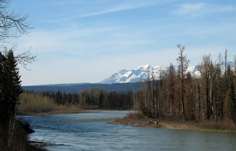 North Fork Flathead River near Polebridge, Montana