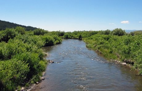 Red Rock River in Montana