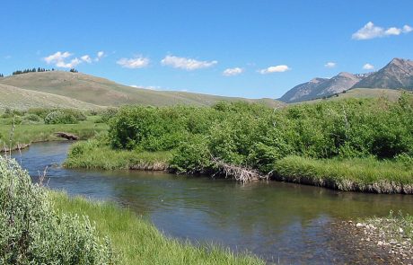 Red Rock River Above Red Rock Lakes