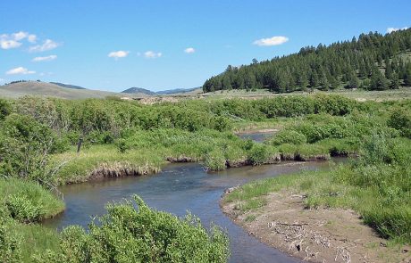 Red Rock River in Montana