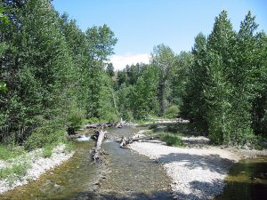 Downfall in Rock Creek in Southern Montana