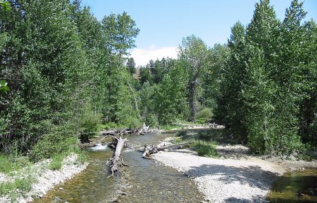 Rock Creek in Southern Montana