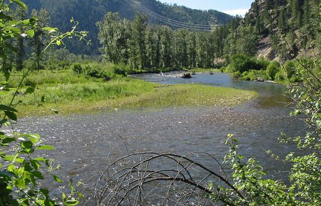 Lower Rock Creek in Montana