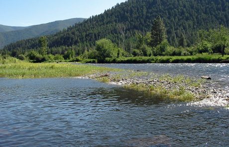 Lower Rock Creek in Montana