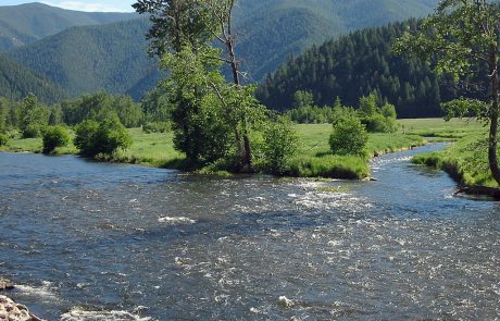 Rock Creek in Montana