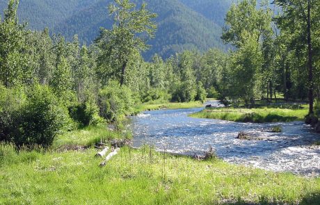 Rock Creek in Montana