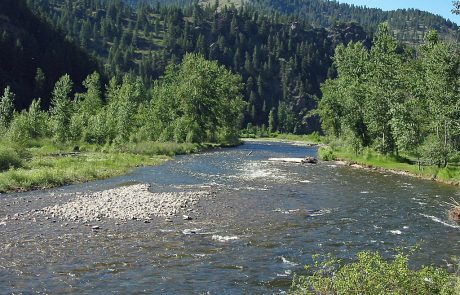 Rock Creek in Montana