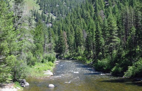 Rock Creek in Montana