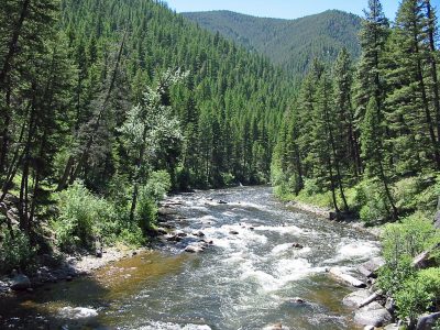 Rock Creek in Montana