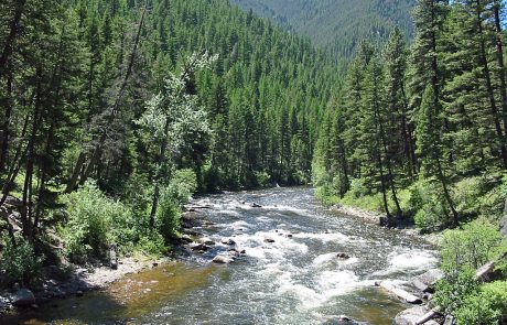 Rock Creek in Montana