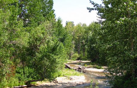 Rock Creek in Southern Montana