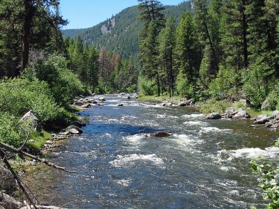 Rock Creek in Montana