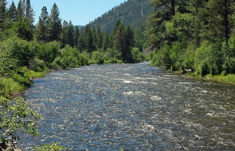 The Middle Section of Rock Creek in Montana