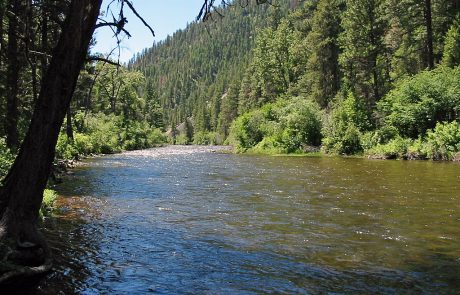 The Middle Section of Rock Creek in Montana